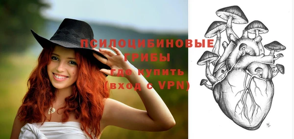 дмт Балахна