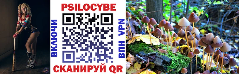Купить Заводоуковск Псилоцибиновые грибы GOLDEN TEACHER